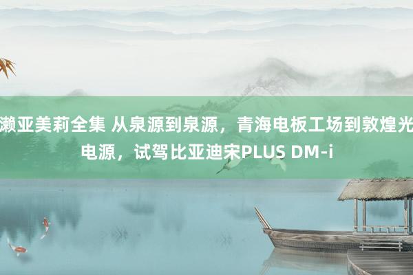 濑亚美莉全集 从泉源到泉源,青海电板工场到敦煌光电源,试驾比亚迪宋PLUS DM-i