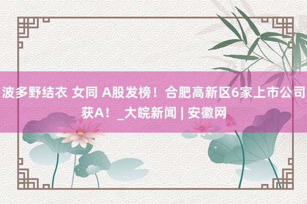 波多野结衣 女同 A股发榜！合肥高新区6家上市公司获A！_大皖新闻 | 安徽网
