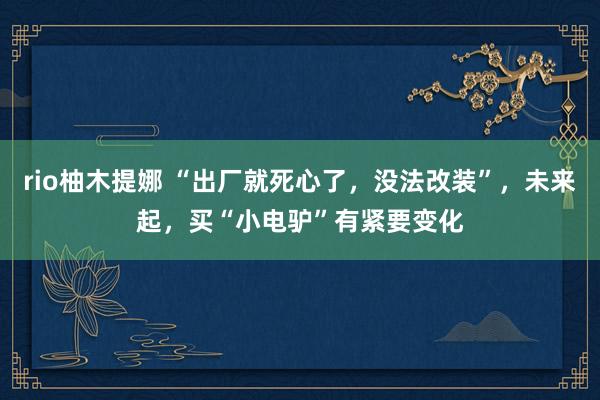 rio柚木提娜 “出厂就死心了，没法改装”，未来起，买“小电驴”有紧要变化