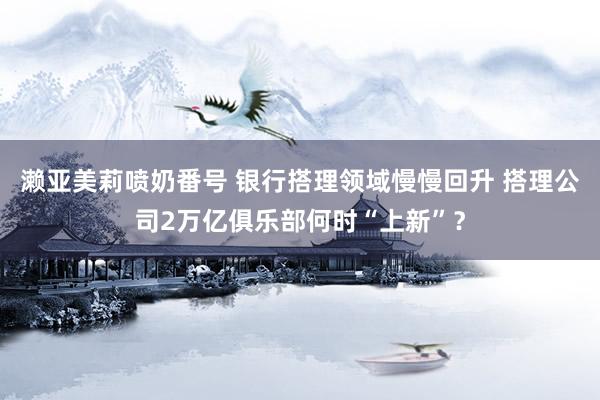 濑亚美莉喷奶番号 银行搭理领域慢慢回升 搭理公司2万亿俱乐部何时“上新”？