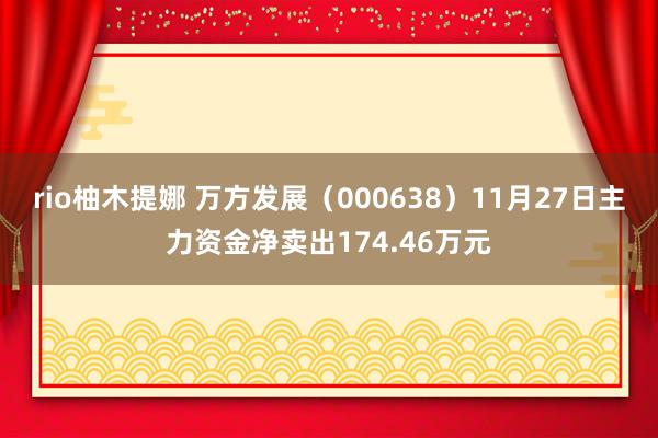 rio柚木提娜 万方发展（000638）11月27日主力资金净卖出174.46万元