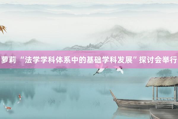 萝莉 “法学学科体系中的基础学科发展”探讨会举行
