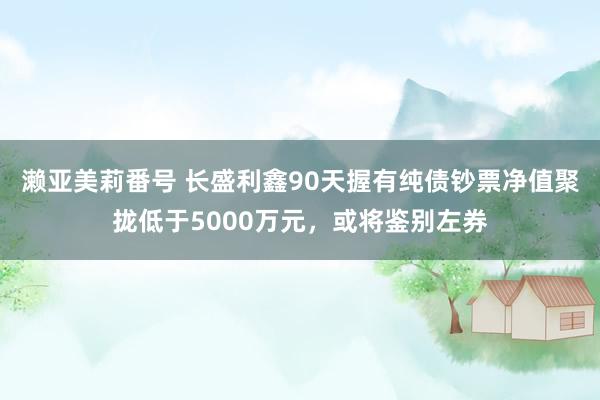 濑亚美莉番号 长盛利鑫90天握有纯债钞票净值聚拢低于5000万元，或将鉴别左券