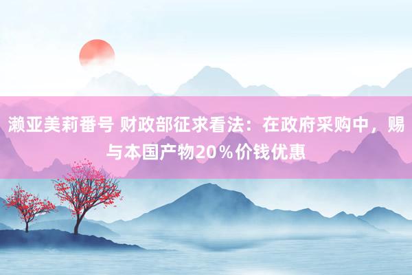 濑亚美莉番号 财政部征求看法：在政府采购中，赐与本国产物20％价钱优惠