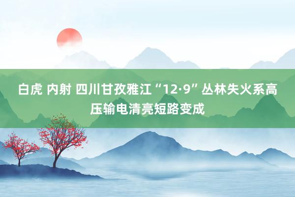 白虎 内射 四川甘孜雅江“12·9”丛林失火系高压输电清亮短路变成
