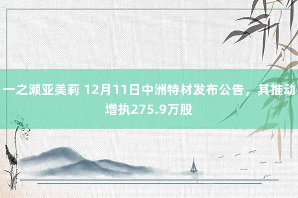 一之濑亚美莉 12月11日中洲特材发布公告，其推动增执275.9万股