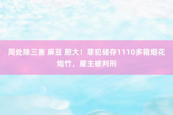 周处除三害 麻豆 胆大！罪犯储存1110多箱烟花炮竹，雇主被判刑