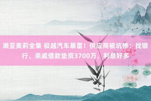 濑亚美莉全集 极越汽车暴雷！供应商被坑惨：找银行、亲戚借款垫资3700万，利息好多
