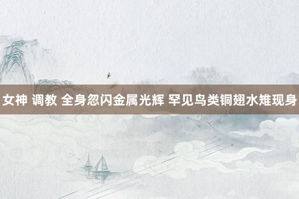 女神 调教 全身忽闪金属光辉 罕见鸟类铜翅水雉现身