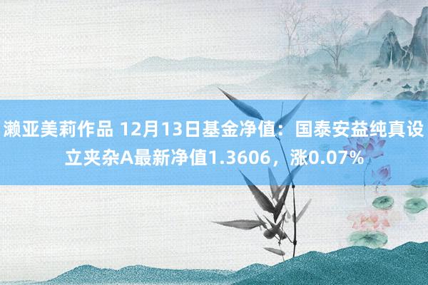 濑亚美莉作品 12月13日基金净值：国泰安益纯真设立夹杂A最新净值1.3606，涨0.07%