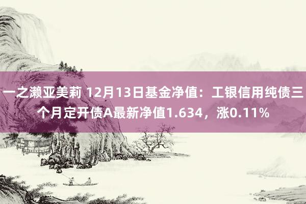 一之濑亚美莉 12月13日基金净值：工银信用纯债三个月定开债A最新净值1.634，涨0.11%