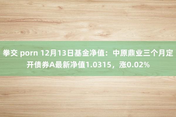 拳交 porn 12月13日基金净值：中原鼎业三个月定开债券A最新净值1.0315，涨0.02%