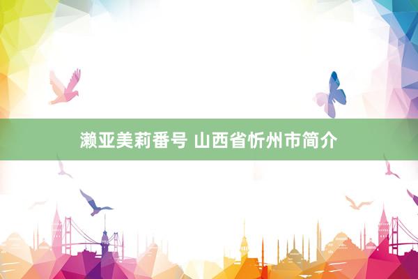 濑亚美莉番号 山西省忻州市简介