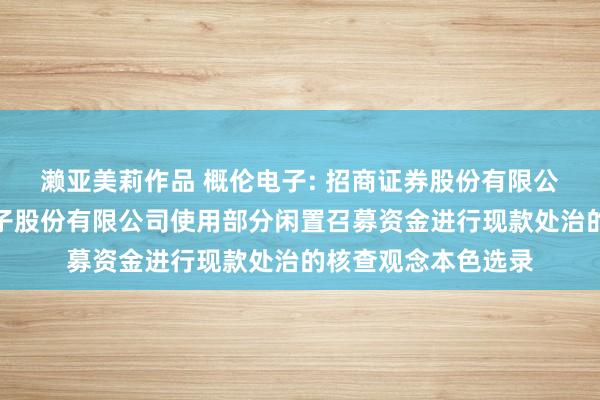 濑亚美莉作品 概伦电子: 招商证券股份有限公司对于上海概伦电子股份有限公司使用部分闲置召募资金进行现款处治的核查观念本色选录