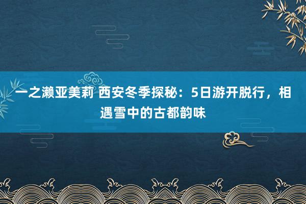 一之濑亚美莉 西安冬季探秘：5日游开脱行，相遇雪中的古都韵味