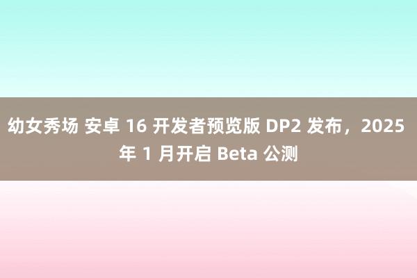 幼女秀场 安卓 16 开发者预览版 DP2 发布，2025 年 1 月开启 Beta 公测