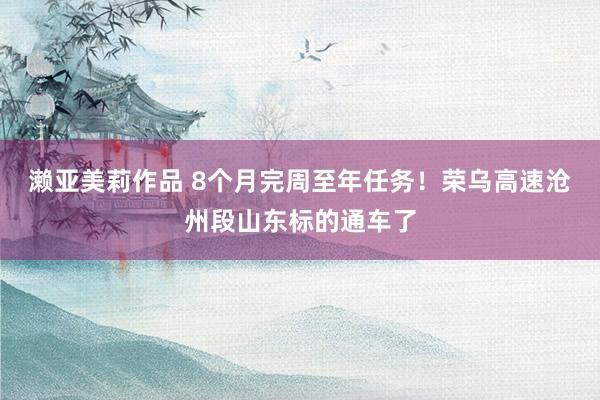 濑亚美莉作品 8个月完周至年任务！荣乌高速沧州段山东标的通车了