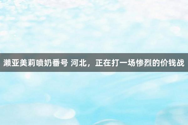 濑亚美莉喷奶番号 河北，正在打一场惨烈的价钱战