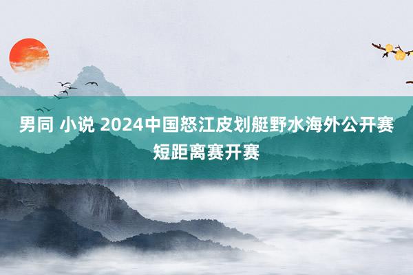 男同 小说 2024中国怒江皮划艇野水海外公开赛短距离赛开赛
