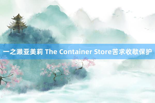 一之濑亚美莉 The Container Store苦求收歇保护
