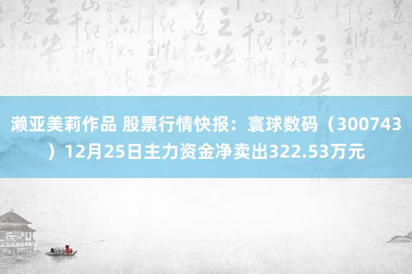 濑亚美莉作品 股票行情快报：寰球数码（300743）12月25日主力资金净卖出322.53万元