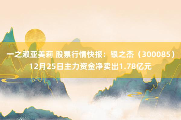 一之濑亚美莉 股票行情快报：银之杰（300085）12月25日主力资金净卖出1.78亿元
