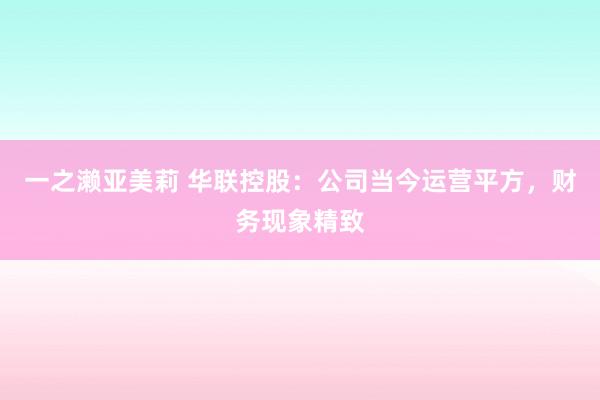 一之濑亚美莉 华联控股：公司当今运营平方，财务现象精致
