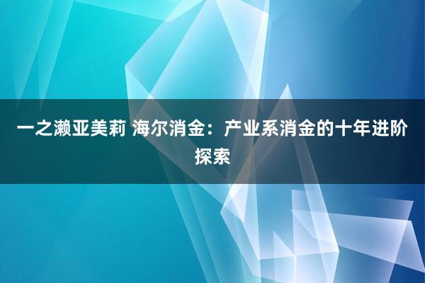 一之濑亚美莉 海尔消金：产业系消金的十年进阶探索