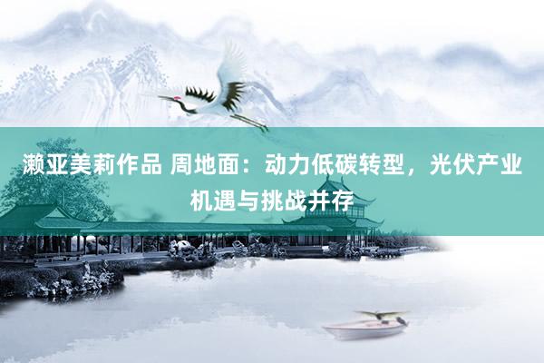 濑亚美莉作品 周地面：动力低碳转型，光伏产业机遇与挑战并存