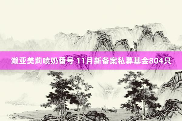 濑亚美莉喷奶番号 11月新备案私募基金804只