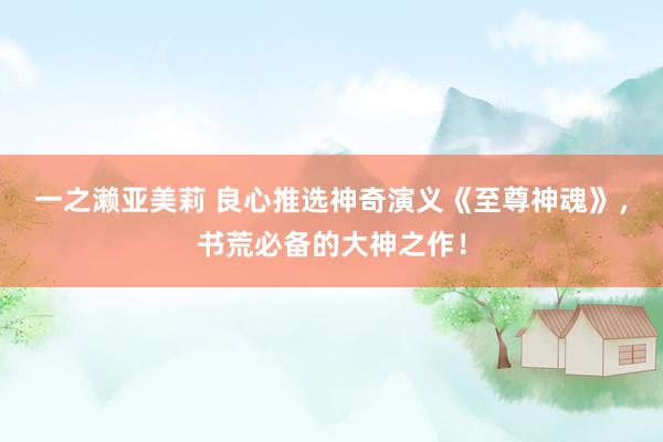 一之濑亚美莉 良心推选神奇演义《至尊神魂》，书荒必备的大神之作！