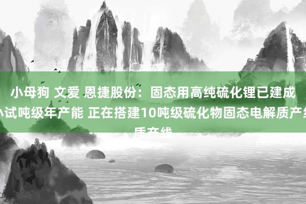 小母狗 文爱 恩捷股份：固态用高纯硫化锂已建成小试吨级年产能 正在搭建10吨级硫化物固态电解质产线