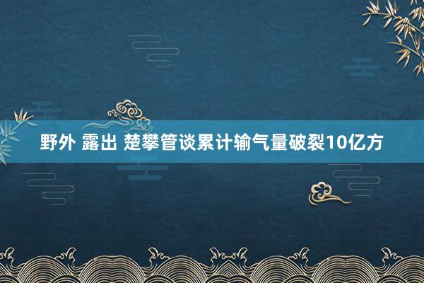 野外 露出 楚攀管谈累计输气量破裂10亿方