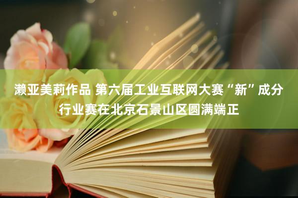濑亚美莉作品 第六届工业互联网大赛“新”成分行业赛在北京石景山区圆满端正