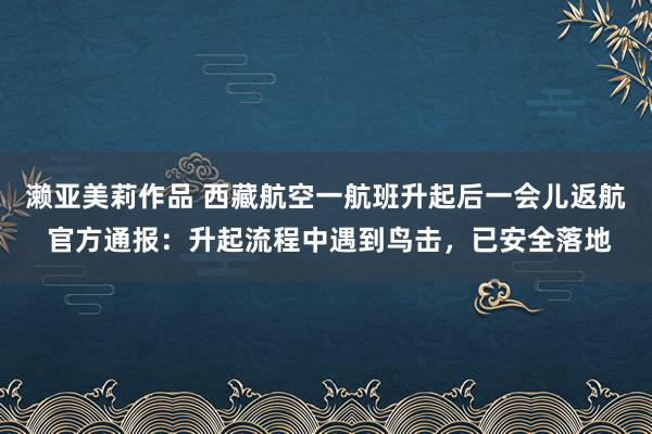 濑亚美莉作品 西藏航空一航班升起后一会儿返航 官方通报：升起流程中遇到鸟击，已安全落地