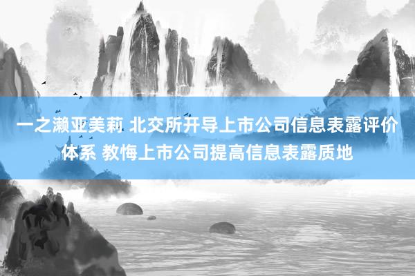 一之濑亚美莉 北交所开导上市公司信息表露评价体系 教悔上市公司提高信息表露质地
