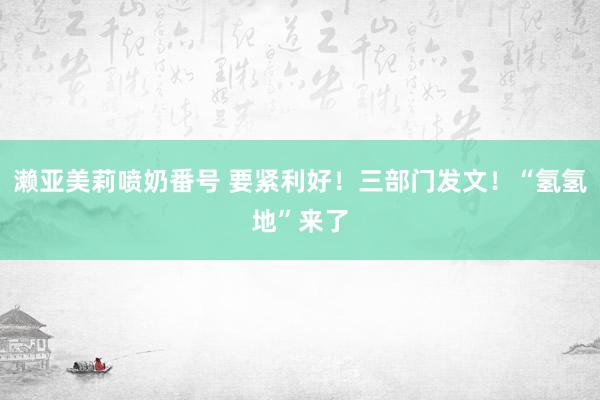 濑亚美莉喷奶番号 要紧利好！三部门发文！“氢氢地”来了