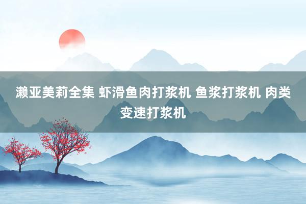 濑亚美莉全集 虾滑鱼肉打浆机 鱼浆打浆机 肉类变速打浆机