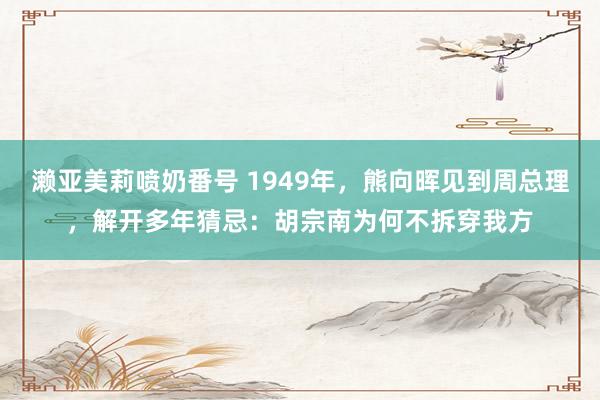 濑亚美莉喷奶番号 1949年，熊向晖见到周总理，解开多年猜忌：胡宗南为何不拆穿我方
