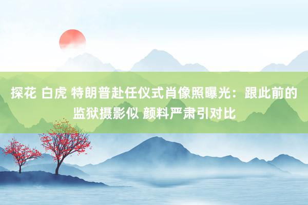 探花 白虎 特朗普赴任仪式肖像照曝光：跟此前的监狱摄影似 颜料严肃引对比