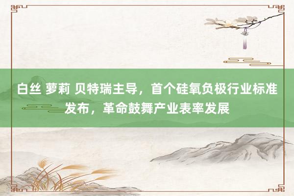 白丝 萝莉 贝特瑞主导，首个硅氧负极行业标准发布，革命鼓舞产业表率发展