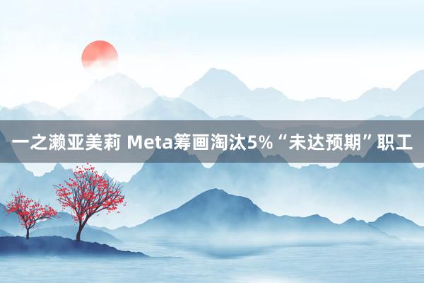 一之濑亚美莉 Meta筹画淘汰5%“未达预期”职工