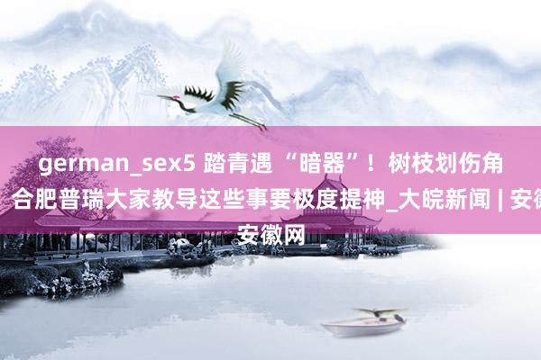german_sex5 踏青遇 “暗器”！树枝划伤角膜？合肥普瑞大家教导这些事要极度提神_大皖新闻 | 安徽网