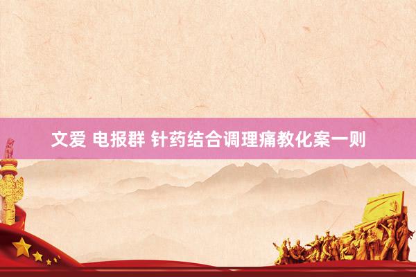 文爱 电报群 针药结合调理痛教化案一则