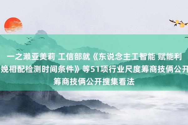 一之濑亚美莉 工信部就《东说念主工智能 赋能利用 钢管分娩相配检测时间条件》等51项行业尺度筹商技俩公开搜集看法