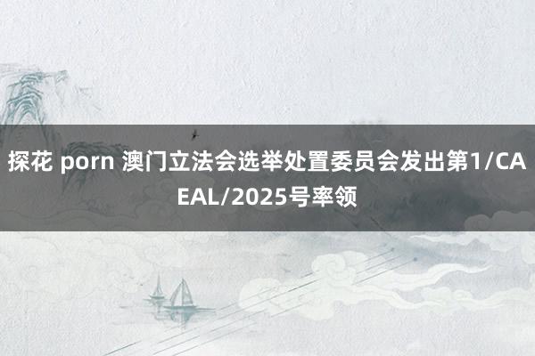 探花 porn 澳门立法会选举处置委员会发出第1/CAEAL/2025号率领