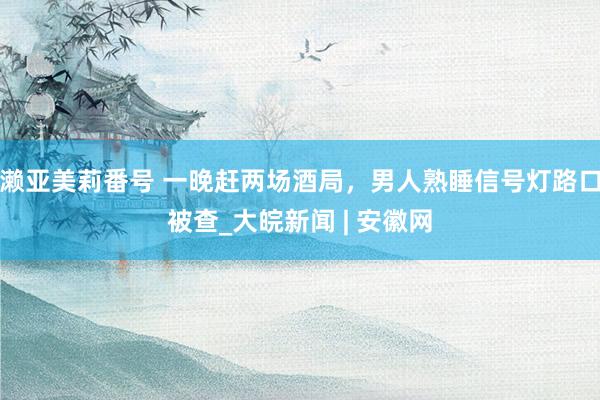 濑亚美莉番号 一晚赶两场酒局，男人熟睡信号灯路口被查_大皖新闻 | 安徽网