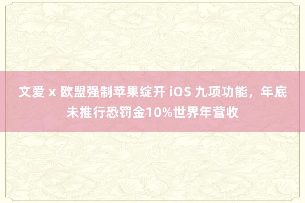 文爱 x 欧盟强制苹果绽开 iOS 九项功能，年底未推行恐罚金10%世界年营收