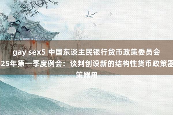 gay sex5 中国东谈主民银行货币政策委员会2025年第一季度例会：谈判创设新的结构性货币政策器用