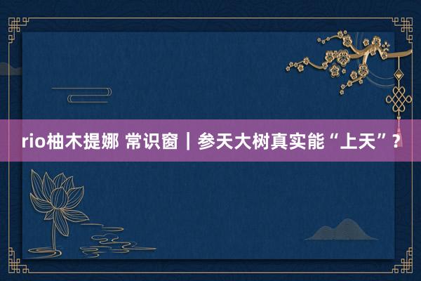 rio柚木提娜 常识窗｜参天大树真实能“上天”？